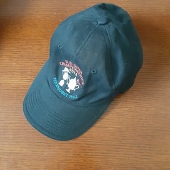 US Open Pinehurst Champ. 2014 Baseball Cap Embroidered Golf Hat Adjustable USGA