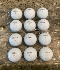 12 Titleist Pro V1x Used 2025 GolfBalls – Excellent Condition – ( PGA Pro )