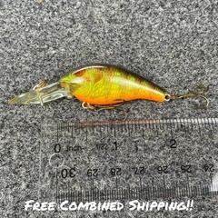 Rebel Little Suspend R D97 Vintage Crankbait 2″ 1/4oz – (SELECT COLOR)