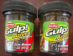 2 Berkley Gulp Alive Minnow 1 Inch, 2.1 Oz Scented Bait (2 Jars Total)