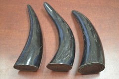 3 PCS LARGE BLACK POLISHED WATER BUFFALO SOLID VIKING TIP HORNS 6″ – 7″