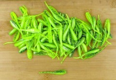 (100) Crappie Fishing 2″ Baby Shad Key Lime Pie Bulk Lot Brand New