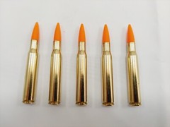 30-06 Springfield Brass Snap caps Training Rounds – Pack of 5