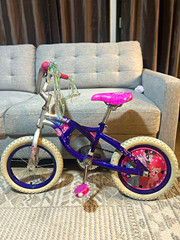 Girls Kids Bike 16 in Purple/Pink Coaster Brake Adjustable Seat Chain Guard