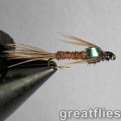 1 dozen (12) – Pheasant Tail Nymph – Flash Back