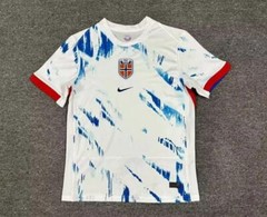 Norway national team Away 2024-25 Jersey