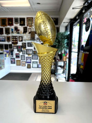 FANTASY FOOTBALL TROPHY INDIVIDUAL AWARD W FFL LOGO! P-VAFB11 11″ TALL @