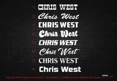 2 Custom Text 1/2″ DECALS – YOUR NAME – for bike, helmet, skateboard, etc.