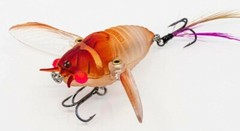Chasebaits Ripple Cicada Wakebait Crawler 1 3/4 inch Hollow Bodied Pink Stunner