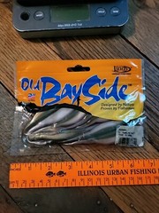 OLD BAYSIDE SWIMBAIT LURE – SHADLYN- 5″ 8Pak
