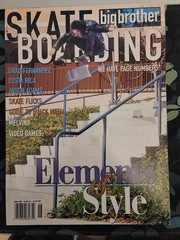 BIG BROTHER SKATEBOARD MAGAZINE JUNE 1999 JASON ADAMS/CHAD FERNANDEZ/COSTA RICA!