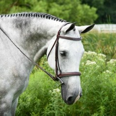 KL Select Red Barn Middleburg Bridle