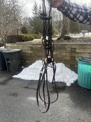Figure Eight Bridal & Reins
