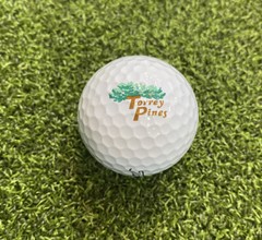 Torrey Pines Logo Golf Ball Titleist Pro V1 Exellent Condition (1 pc)