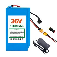 36V/48V Lithium Batter Battery for 0-1000W Motor Battery 48V Battery w/charge