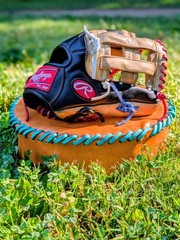 Rawlings Gold Glove Elite GGE12HBCPT 12″ Travel/High School Baseball Glove