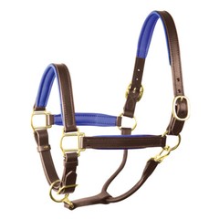 Perri’s Padded Leather Halter with Color Trim
