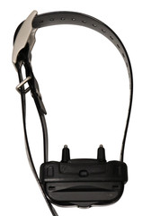 Tri-Tronics G3 EXP E-Collar – New Battery & Power Button – Long Contact Points