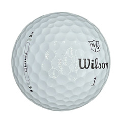 Wilson Triad AAAAA Mint 24 Used Golf Balls 5A