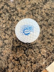 LOGO GOLF BALL-ORIGINAL BAYSIDE BLUES SOFTBALL-OLDER LOGO‼️