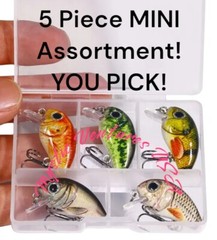 5 CRANKBAIT FISHING LURES with CASE- MICRO SMALL MINI – BRAND NEW – YOU PICK