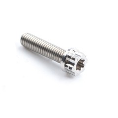 Titanium Torx Bolt M6x10 15 20 25 30 35 40 45 50mm Flange Head Torx Screw Grade5