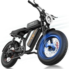 URLIFE 20″*4.0 Fat Tire Electric Bike for Adult 1500W 48V 15.6AH 28MPH Ebike