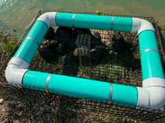 Sundeck Turtle Trap w/ Vinyl Coated Wire – 54″ X 28″ X 12″ Made in Texas