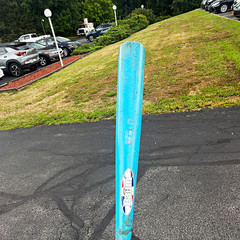 Baum Baum Bat BBCOR -3 33in 30oz 2Wood Blue Baseball bat pro maple