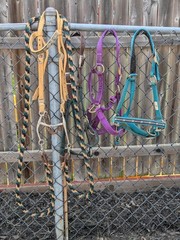 Horse Halters And Trail Headstall W/Tom Thumb Long Shank Bit-