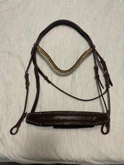 Evermore Bridles Gold Full/Horse Sized Bridle