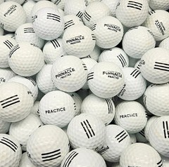 100 Used White Pinnacle Practice Golf Balls Bulk Lot Range Balls All Conditions