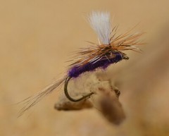 12 Flies – Purple Haze Dry Fly – Mustad Signature Fly Fishing Hooks