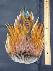 Lot 44, Grade A, Natural India Rooster Saddle Feathers for Fly Tying Jewelry
