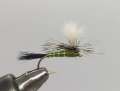One Dozen (12) – Green Drake Wulff – Dry Fly