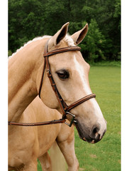 ADT Imperial Bridle – Traditional Crown