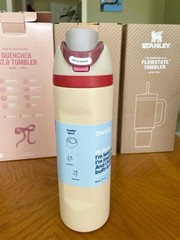 Owala 24 oz Leakproof Insulated Water Bottle Built-in Straw Beige Red Pink Gray