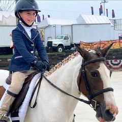 Belle & Bow Equestrian Sweetheart Show Coat Jacket Navy / Lavender Size 5 Years