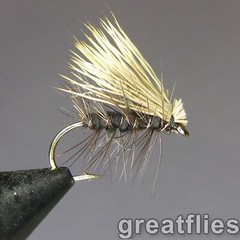 1 dozen (12) – Elk Hair Caddis – BLACK