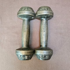 Vtg LMX Lifemaxx Fitness Cast Iron 5lb Dumbbell Lot of 2 Dumbbells Taiwan 10 lbs