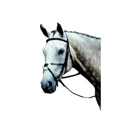 NEW never used—Collegiate Essential Figure 8 Bridle—Brown Warmblood