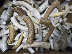 1 lb Shed Deer Antler Dog Chew Treats Knife Handle Craft