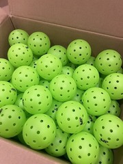 Lifetime Pickleballs LT Pro 48 Balls Pack Of 3