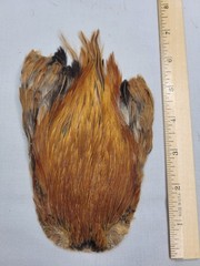 Lot 125, Grade B, Natural India Rooster Streamer Neck Cape Feathers