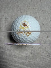 Wilson TC2 Distance Golf Ball Quail Ridge Golf Club Logo Vintage Collectible