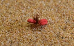 1 Doz Red Foam Ant Terrestrial Dry Fishing Flies – Mustad Signature Hooks