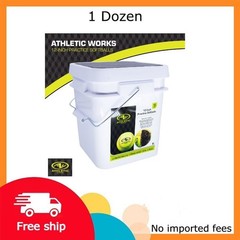 Athletic Works 12-inch Fastpitch Softball Bucket – 1 Dozen Leather Softballs