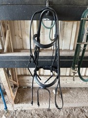 Shires Velociti Rapida Dressage Bridle Black Leather English Snaffle Bridle