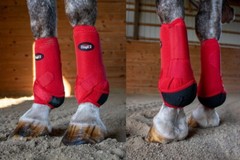 Horse Maximum Support Sport Boots – Fronts Only or Set of 4 – 4 Colors – 3 Sizes