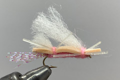 One Dozen (12) – Chubby Chernobyl – Peach/Pink